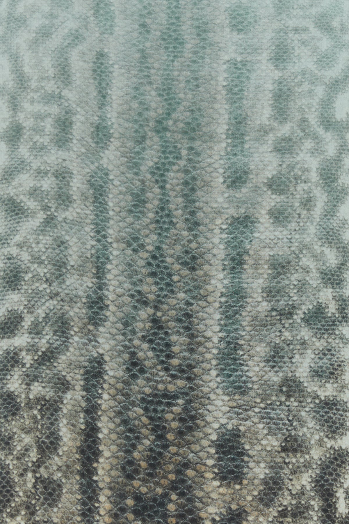 2000013416247_5