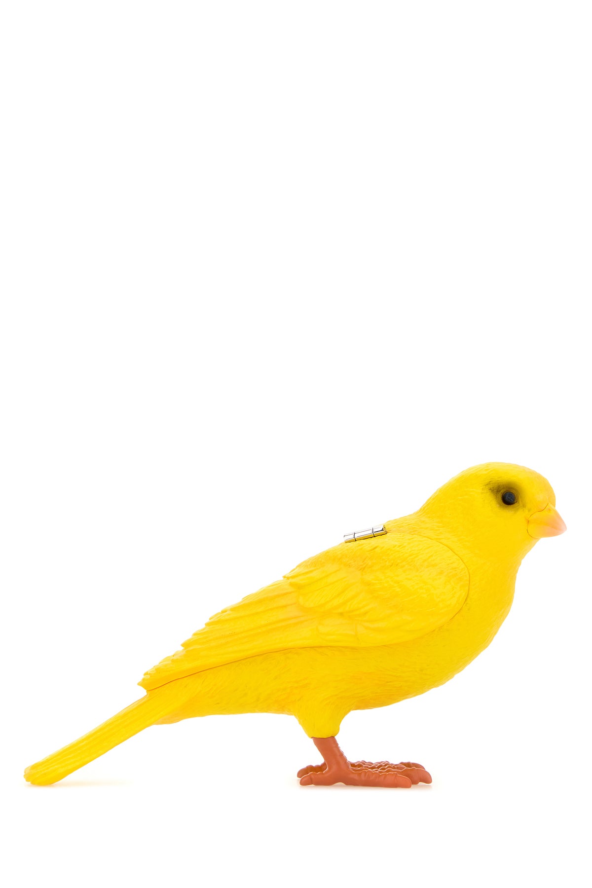 2000018293065_1