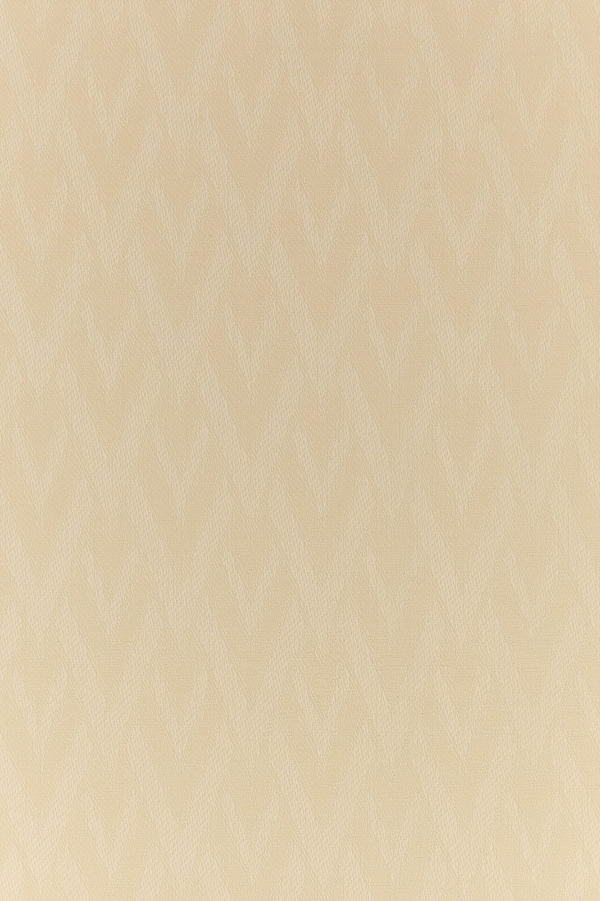 2000018787649_3