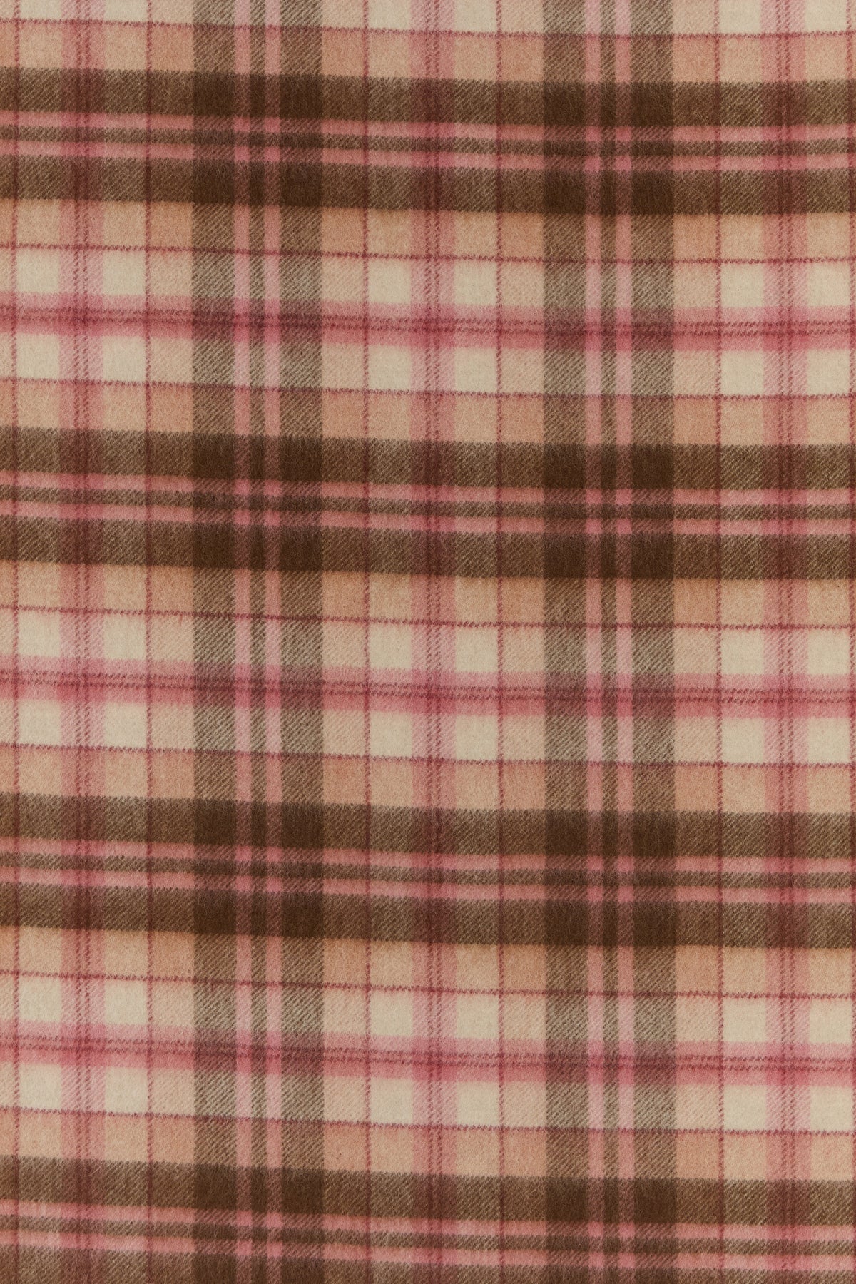 2000019215189_2