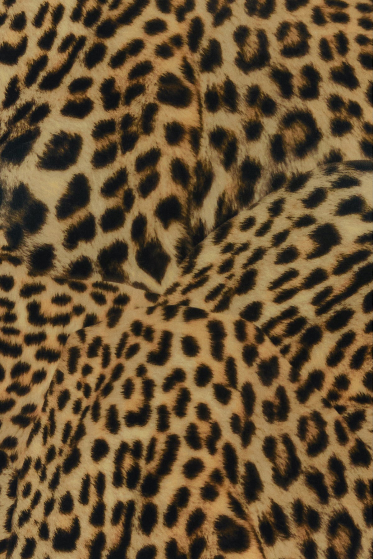 2000019289272_5