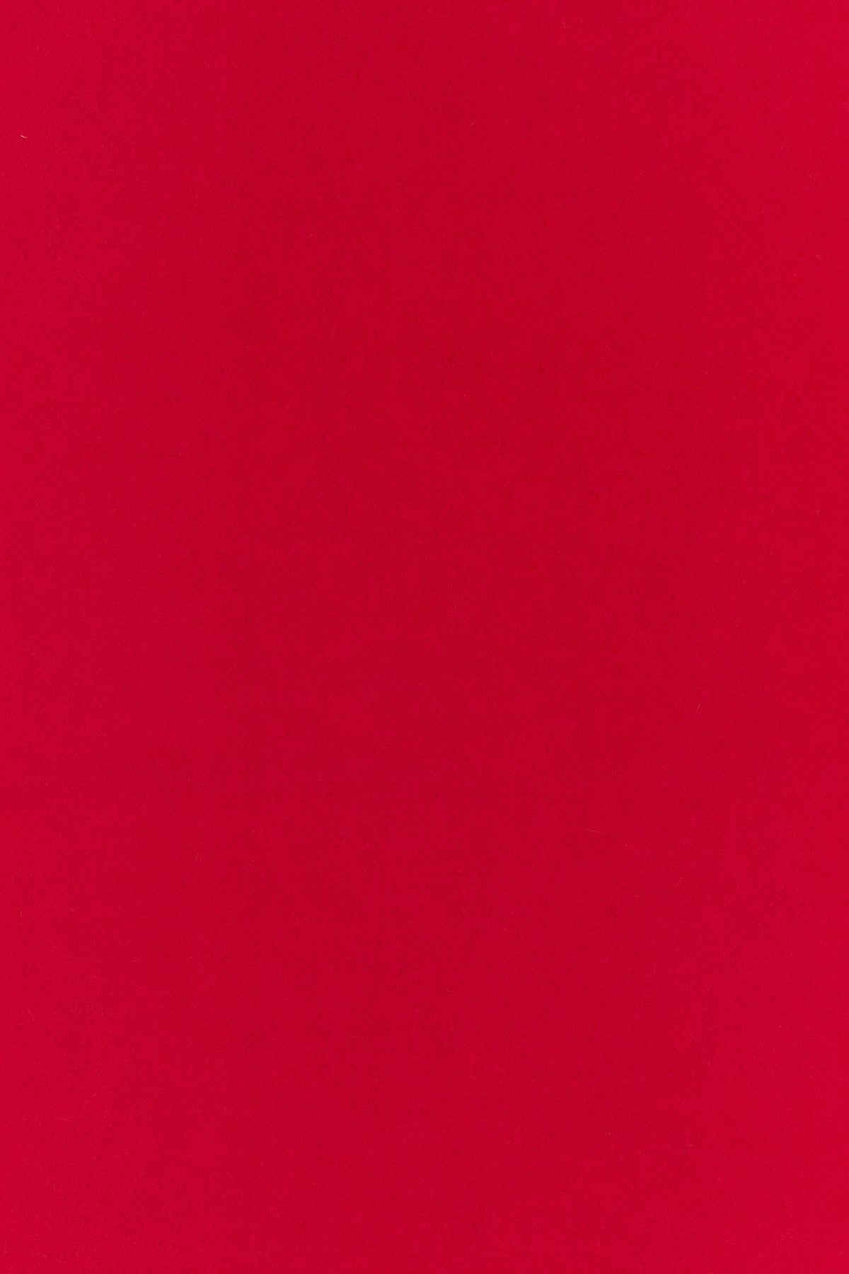 2000019443735_3