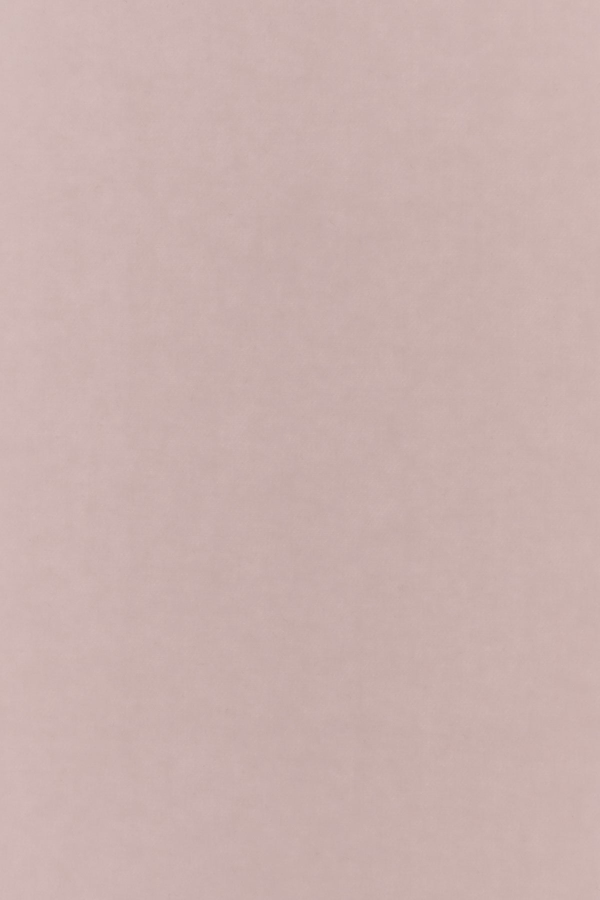 2000019443780_3