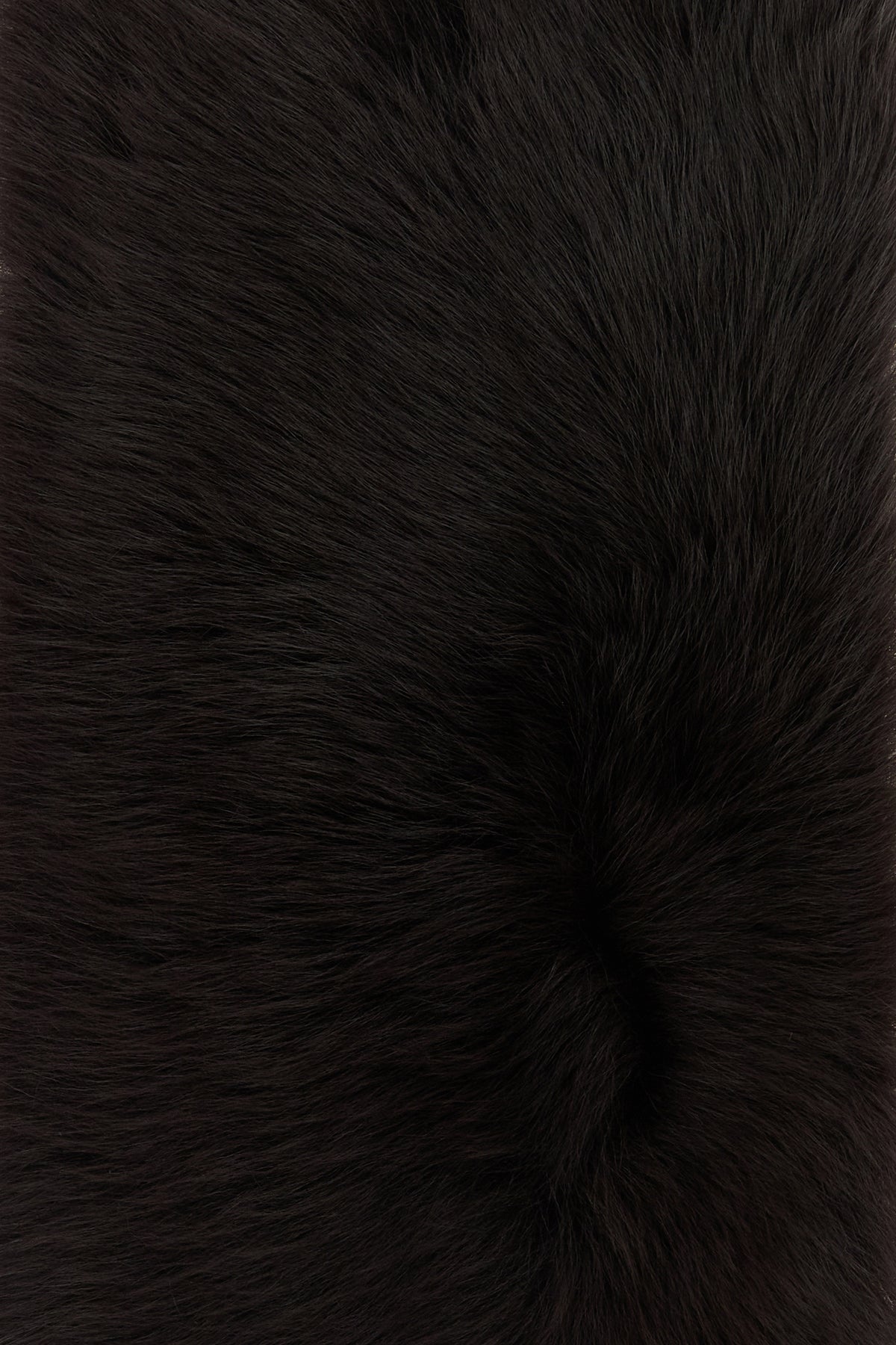 2000020004611_3