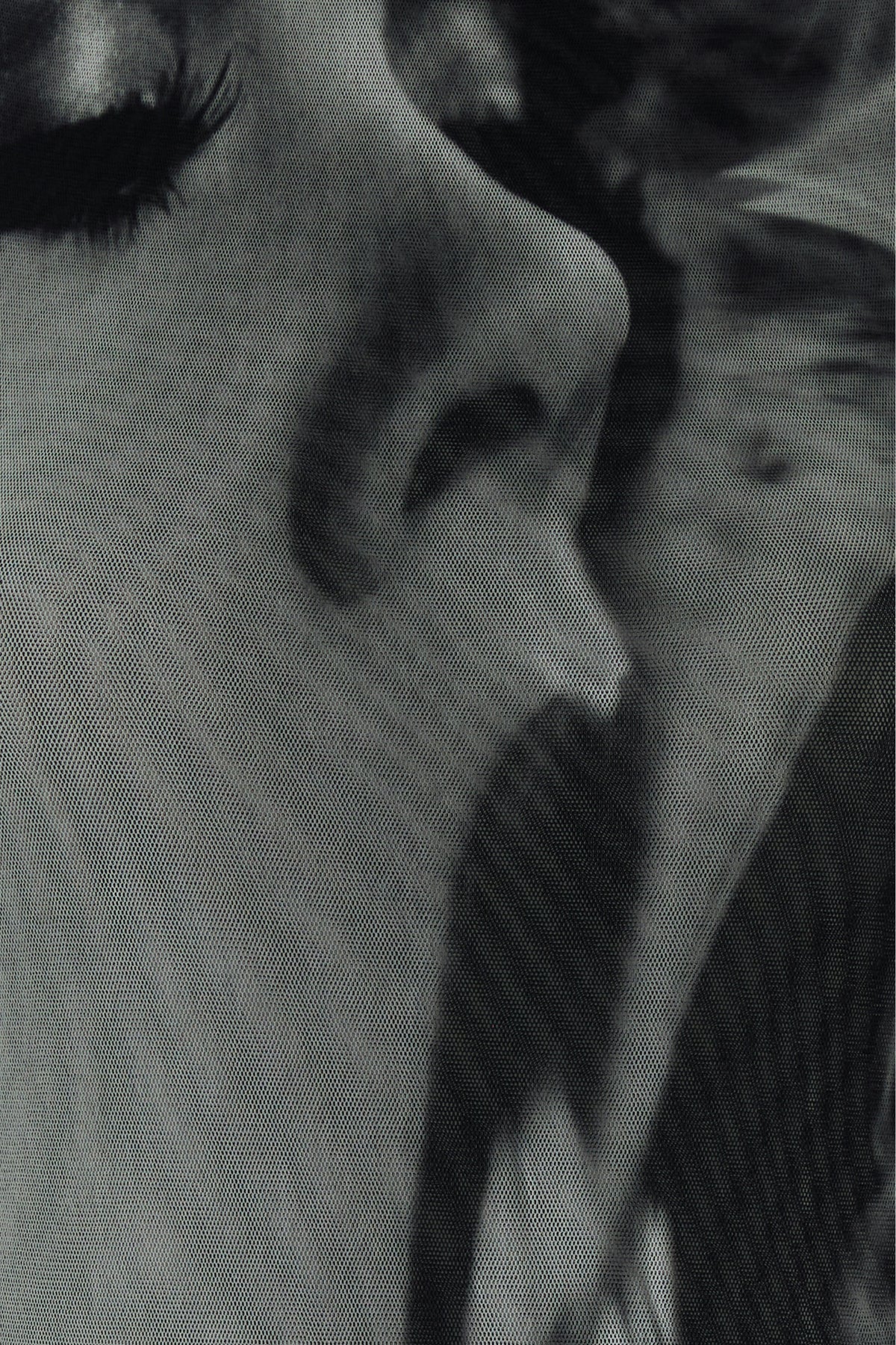 2000020453822_5