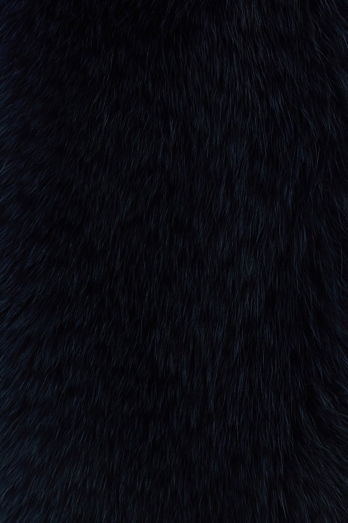 2000021180635_2