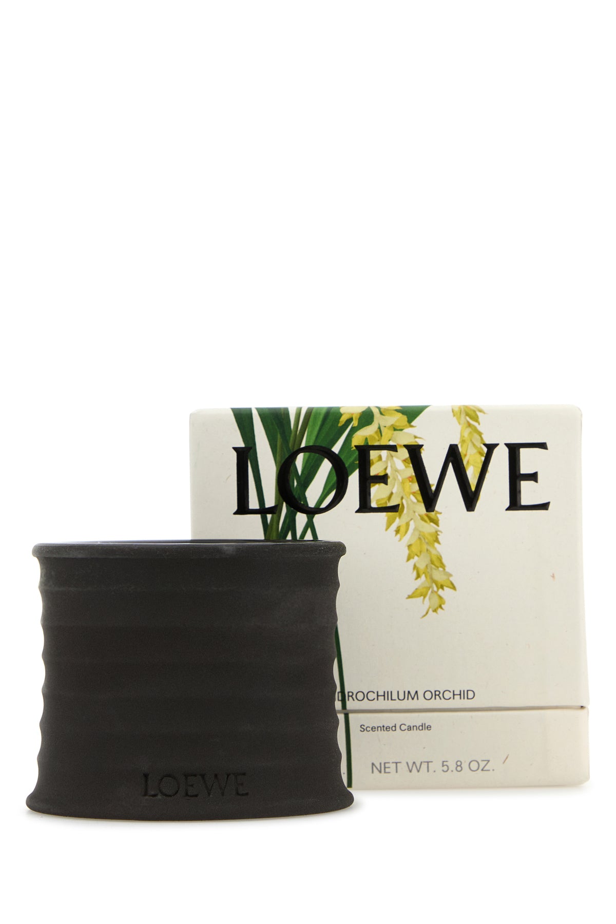 LOEWE]Dendrochilum Magnum Orchid キャンドル 【公式通販】