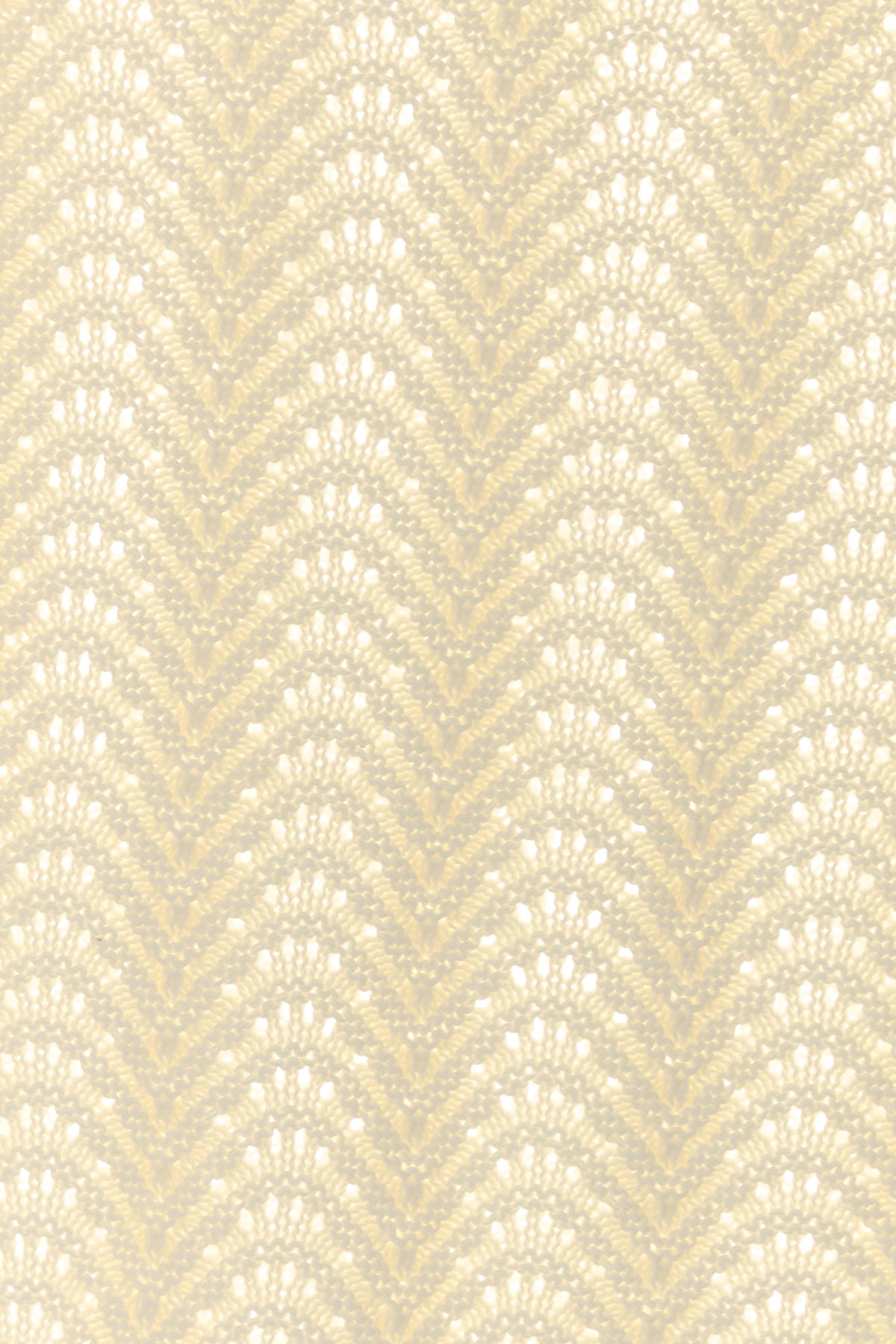 2000017883038_5