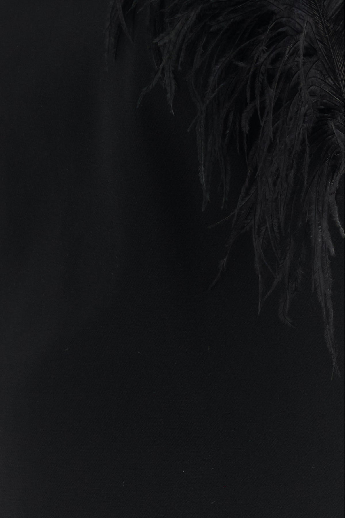 2000017935164_5