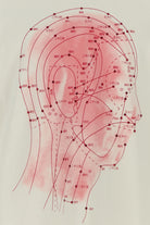 2000017940434_5