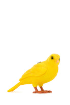 2000018293065_2