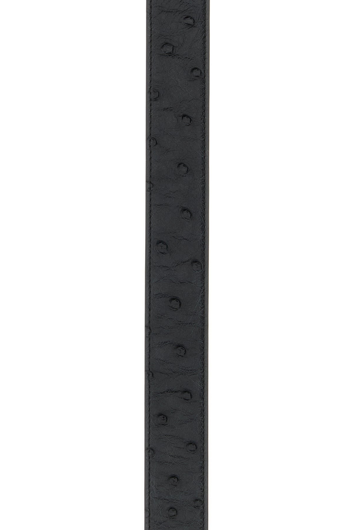2000018936801_3