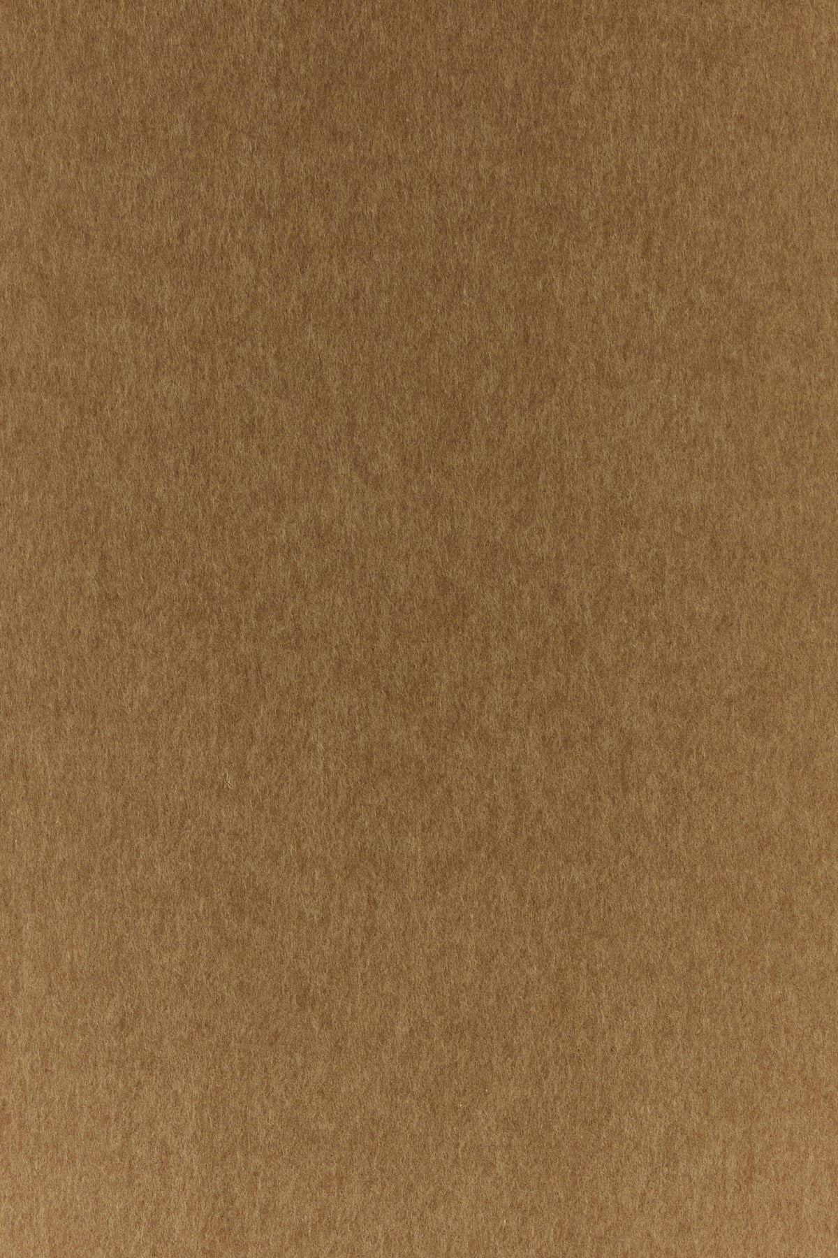 2000019221678_3