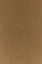 2000019221678_3