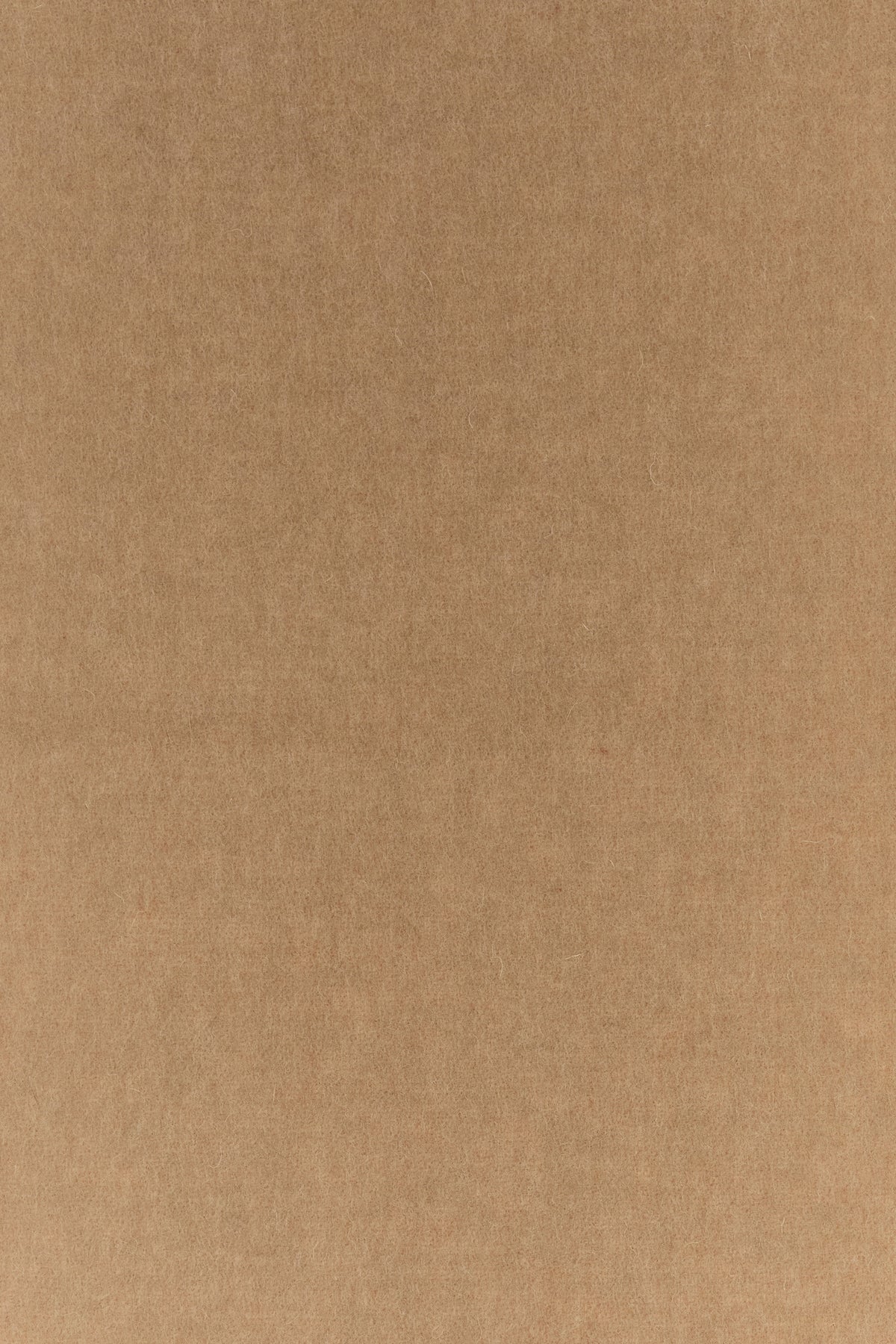 2000019443629_2