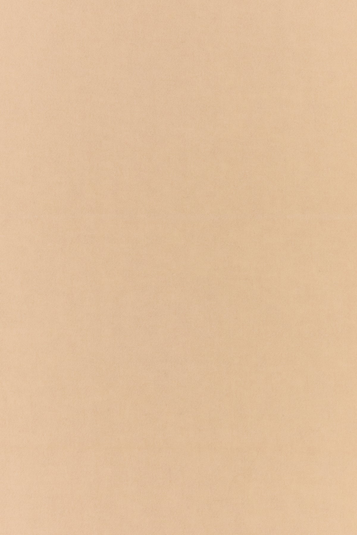 2000019443728_3