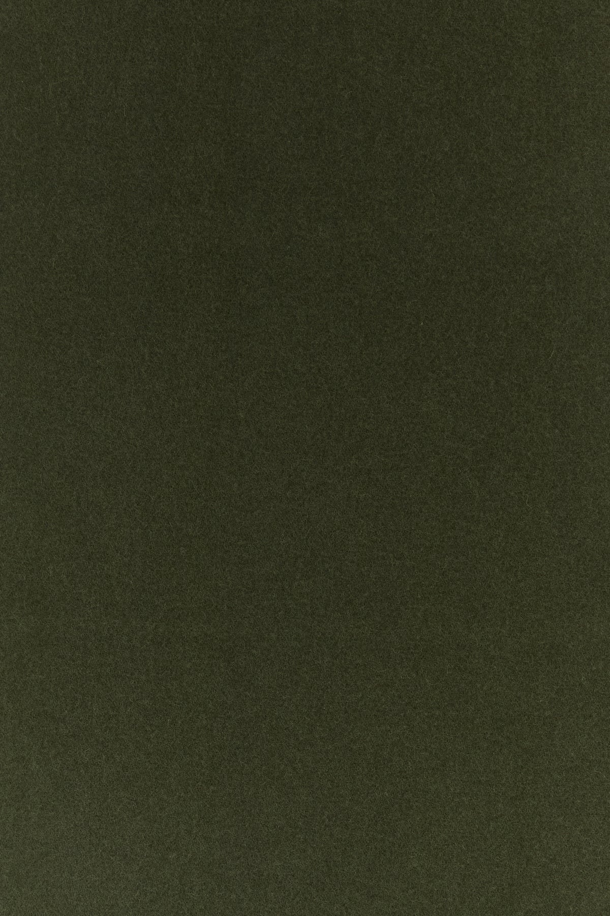 2000019443759_3