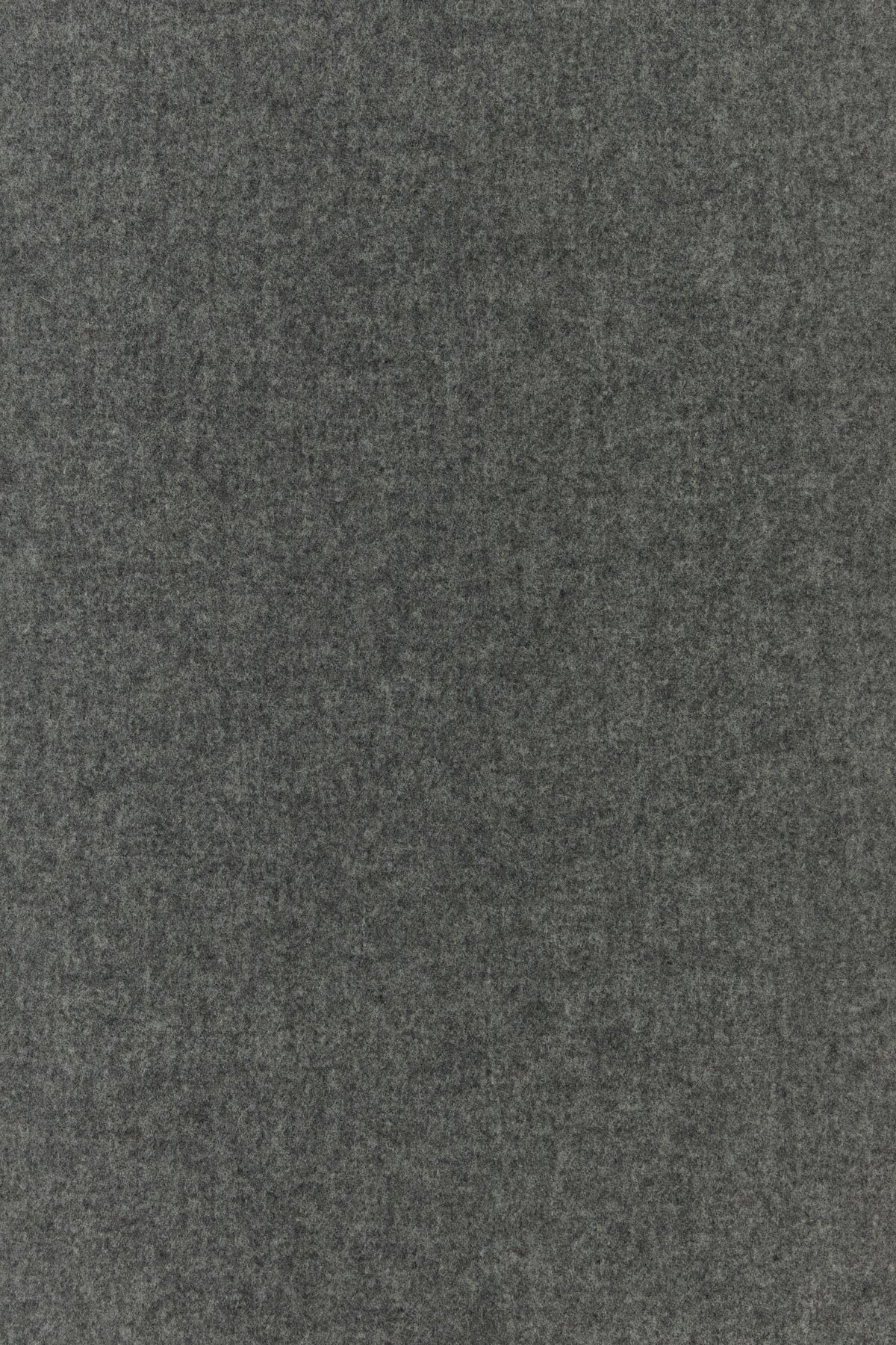 2000019443841_3
