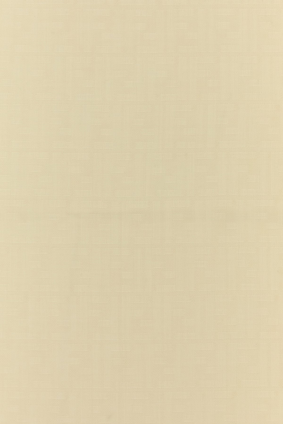 2000019460763_2