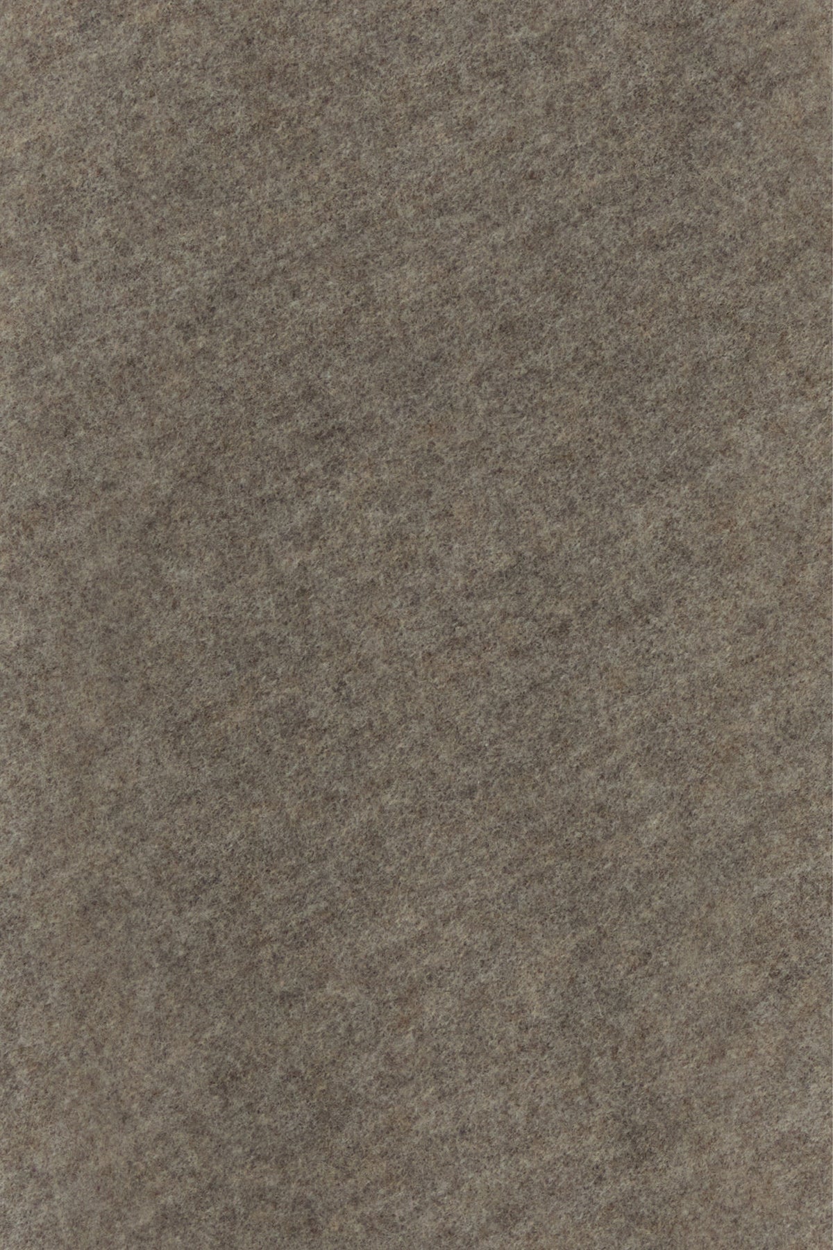 2000019460794_5