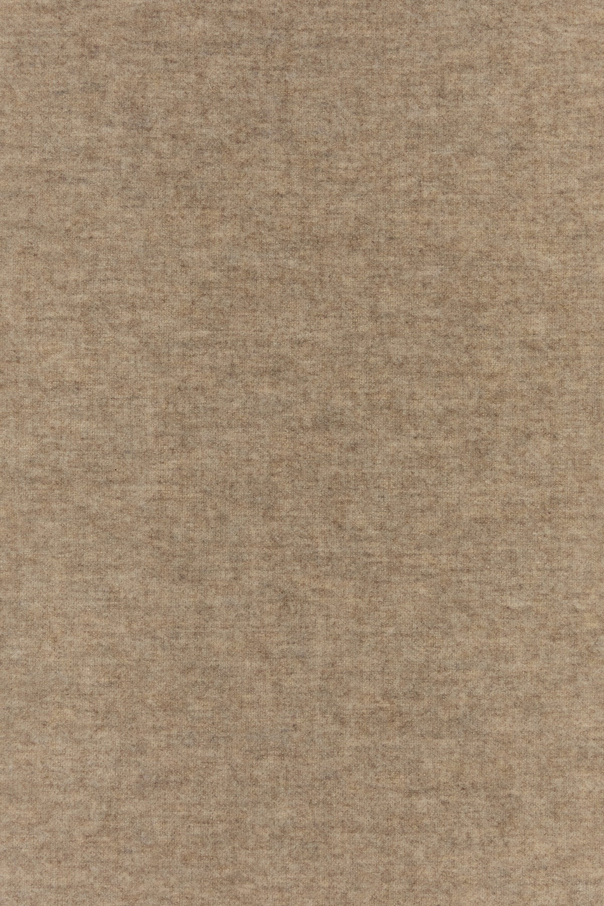 2000019460824_3