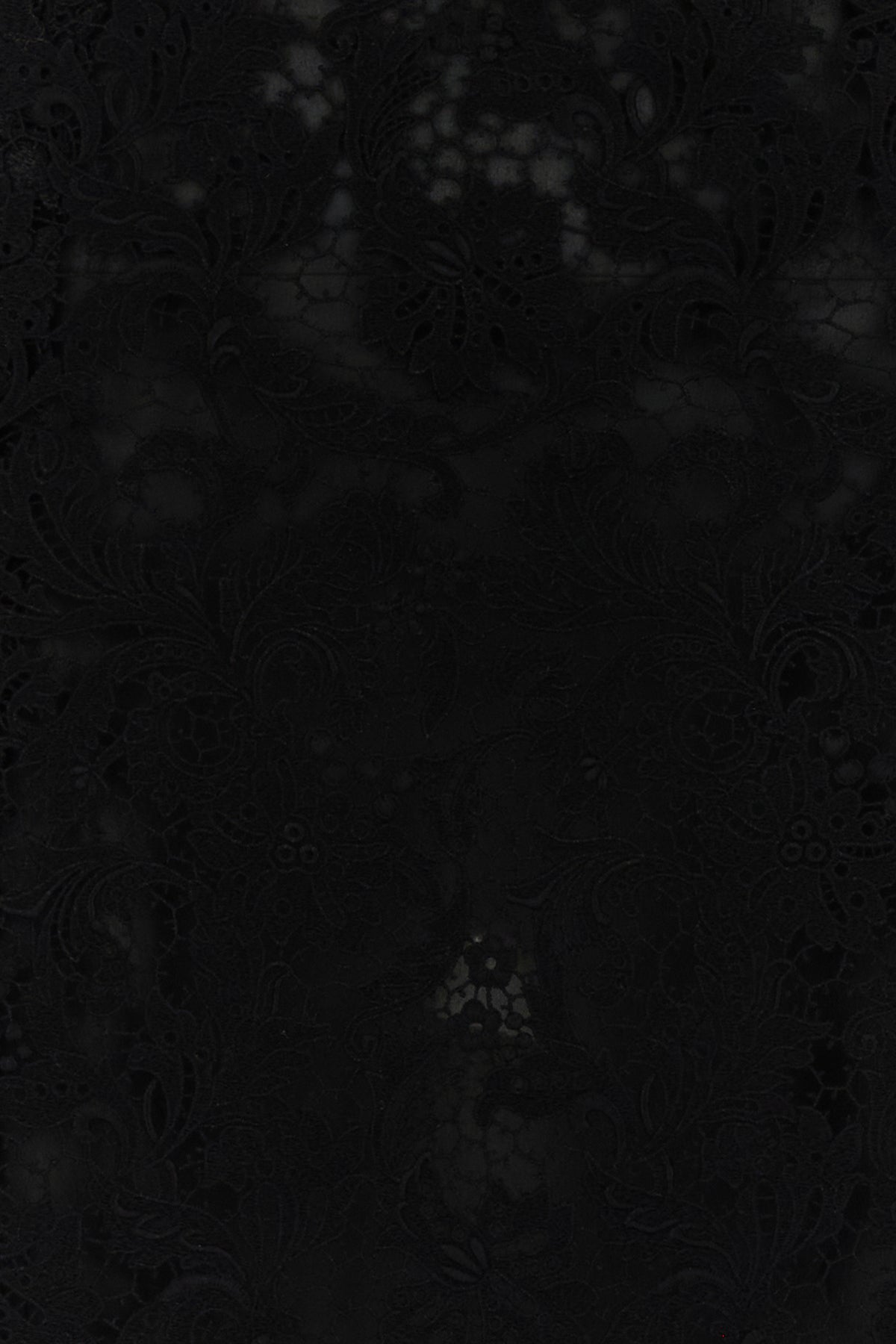 2000019462590_5