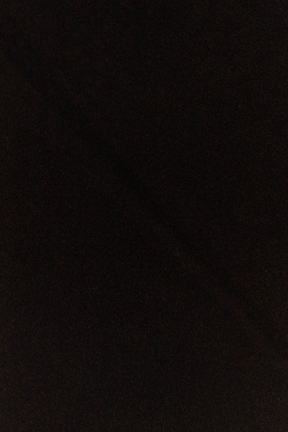 2000020381897_2