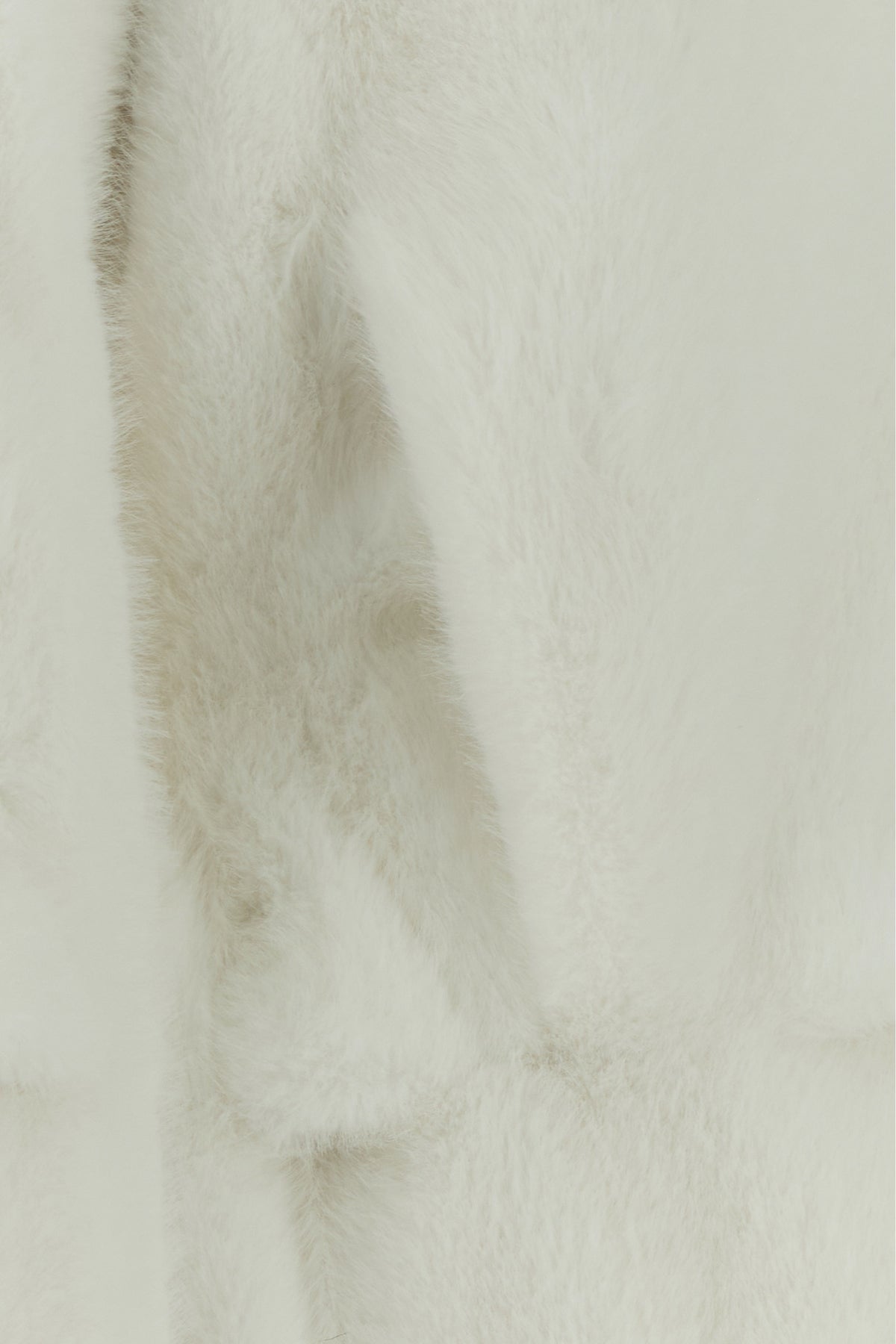 2000021290594_5
